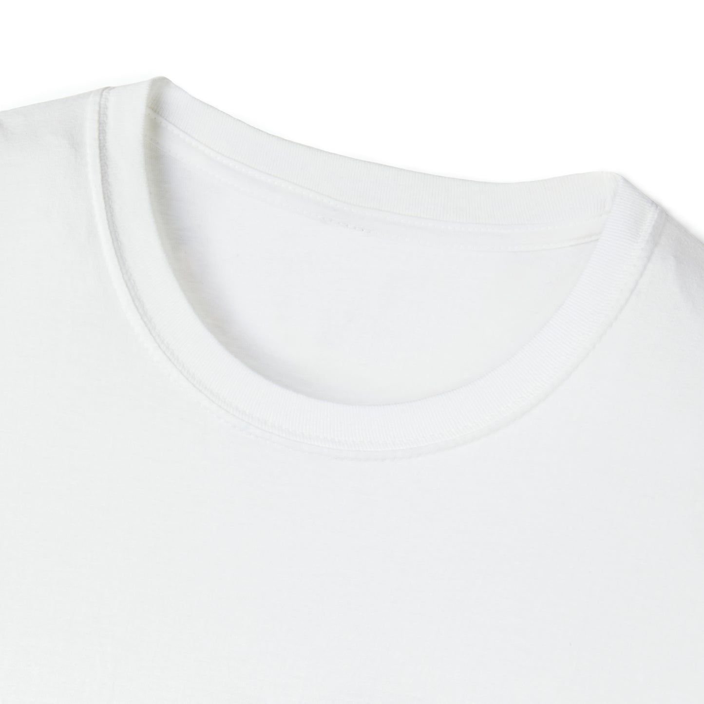 I'm Claiming It! HIS Principles Promises & Power (Unisex) Soft Style T-Shirt