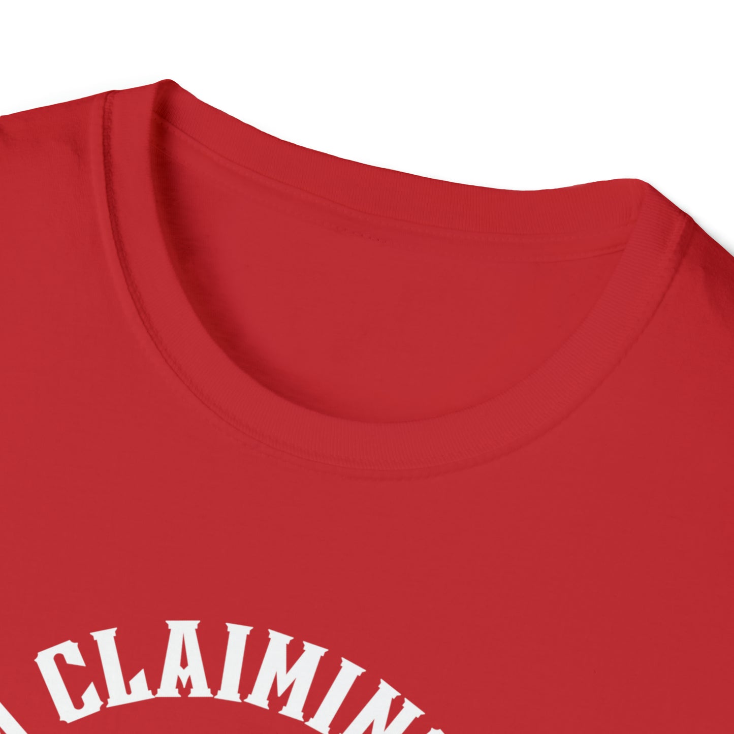 I'm Claiming It! HIS Principles Promises & Power (Unisex) Soft Style T-Shirt