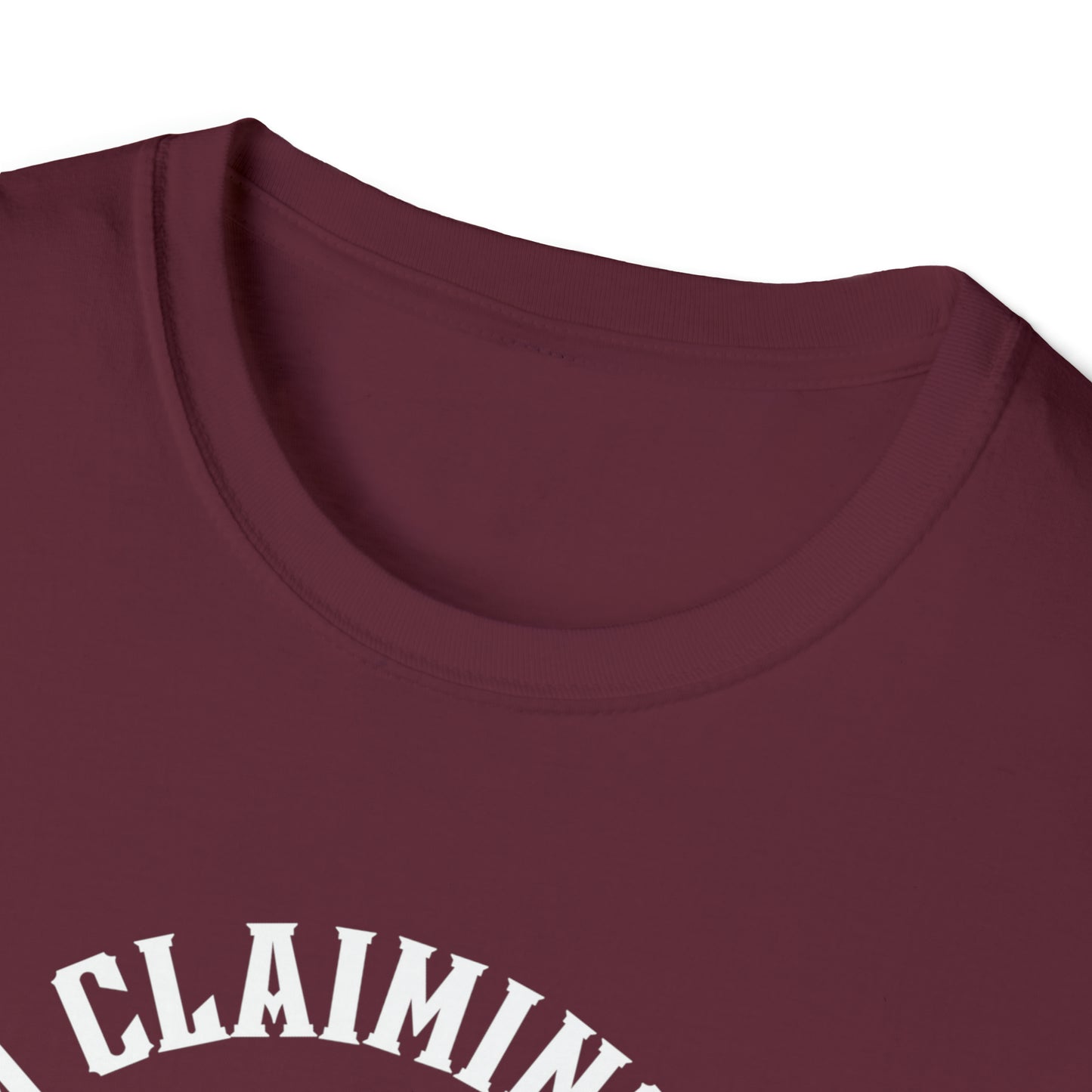 I'm Claiming It! HIS Principles Promises & Power (Unisex) Soft Style T-Shirt